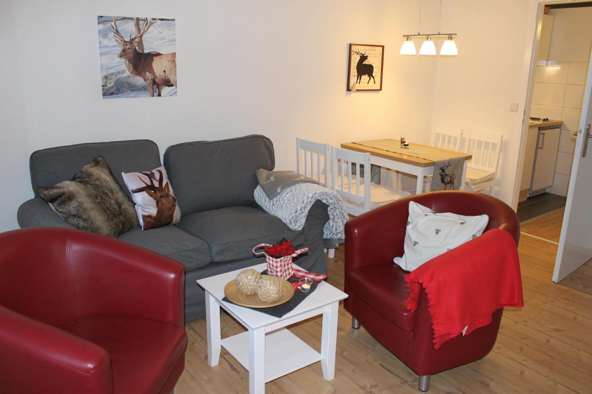 Wieda Apartmenthaus Joern חדר תמונה